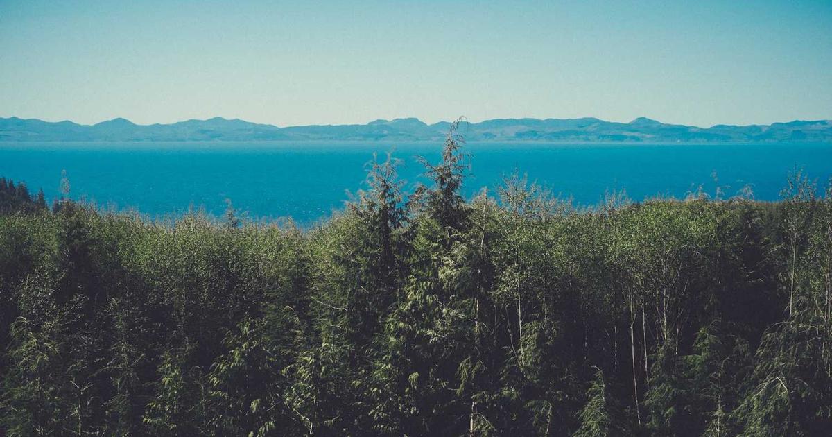 PlanInsight AI: Know How Investors Will Judge Your Business Plan Before the Meeting